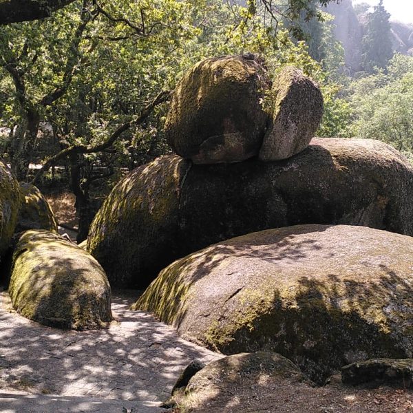 WhatsApp Image 2024-02-22 at 1.28.59 PM