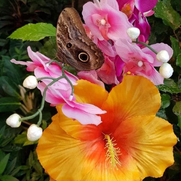 WhatsApp Image 2024-02-22 at 1.50.56 PM